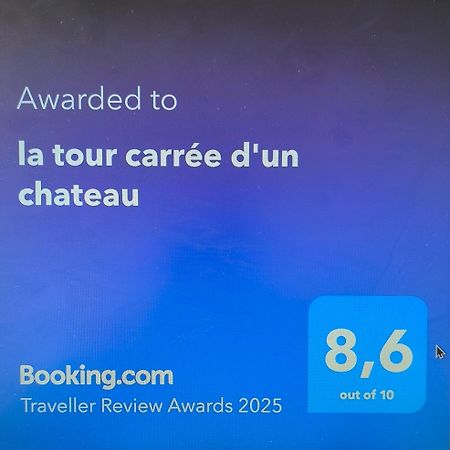 La Tour Carree D'Un Chateau Auzouer-en-Touraine 외부 사진